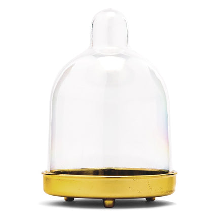 Dome with Gold Bottom Plastic Wedding Favor Container Set (Pack of 2)