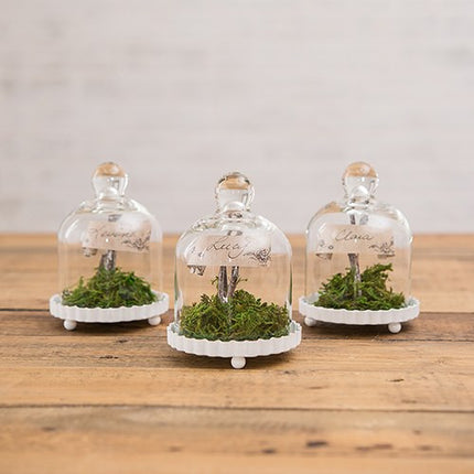 DIY Mini Terrarium Glass Jar Wedding Party Favor Idea