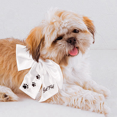 Super cute dog wearing the "Best Pet" Wedding Bow. She is ready for the big day!